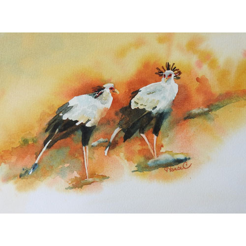 Watercolor painting of two African Secretary birds on an upsloping landscape in black, white and orange.
