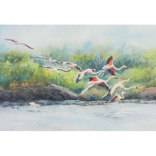 Painting of wild flamingos flying in for a landing on the Galapagos Islands. 