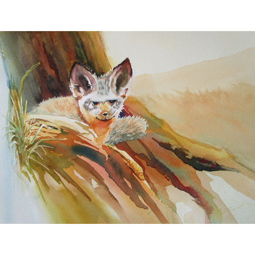 Watercolor painting of a bat-eared fox lying within the base of a tree trunk with hills and grasses surrounding.