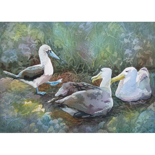 Watercolor painting of a blue-footed booby approaching a pair of nesting albatross with blue, green and lavender indistinct background