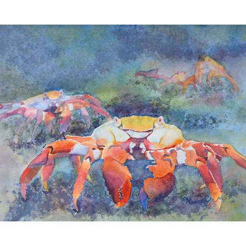 Watercolor painting of five Sally Lightfoot crabs which are bright orange, yellow, white and blue with a rocky blue-green beach