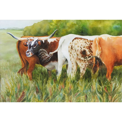 A watercolor painting of a line of longhorns grazing on a Texas ranch with one facing the other direction as a lookout in greens, browns and gold. 