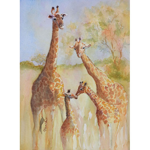 Watercolor painting of two adult giraffes with a small juvenile licking a newborn giraffe with golden hills with soft trees and shrubs on either side.