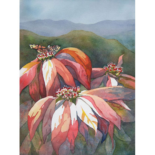 watercolor painting of colorful red wild poinsettias with butterfly on top and green hills in background. 